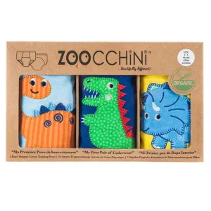3 Piece Organic Potty Training Pants Set - Boys - Jurassic Pals