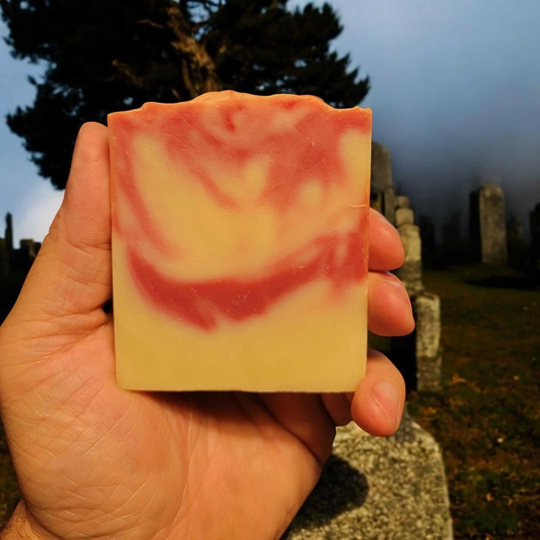 Coldhearted Soap - Raspberry, Juniper, Pine Needles, Winter Musk