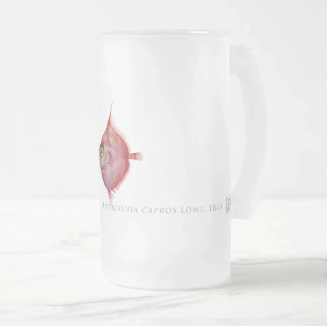 Deepbody Boarfish - Frosted Glass Stein
