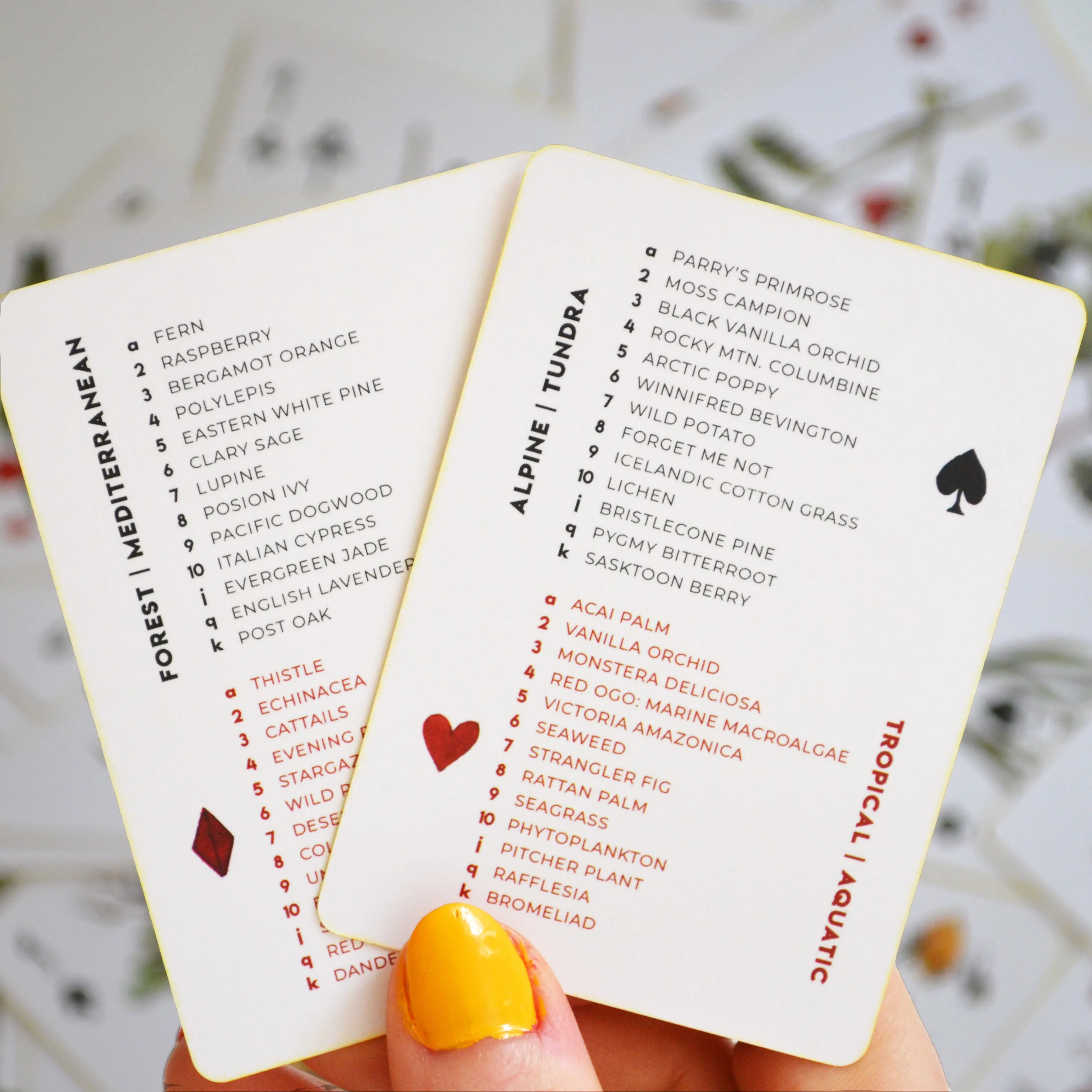 The Vaxa Deck